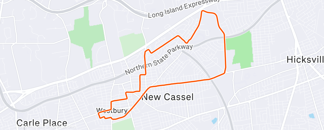 Карта физической активности (Night Run)