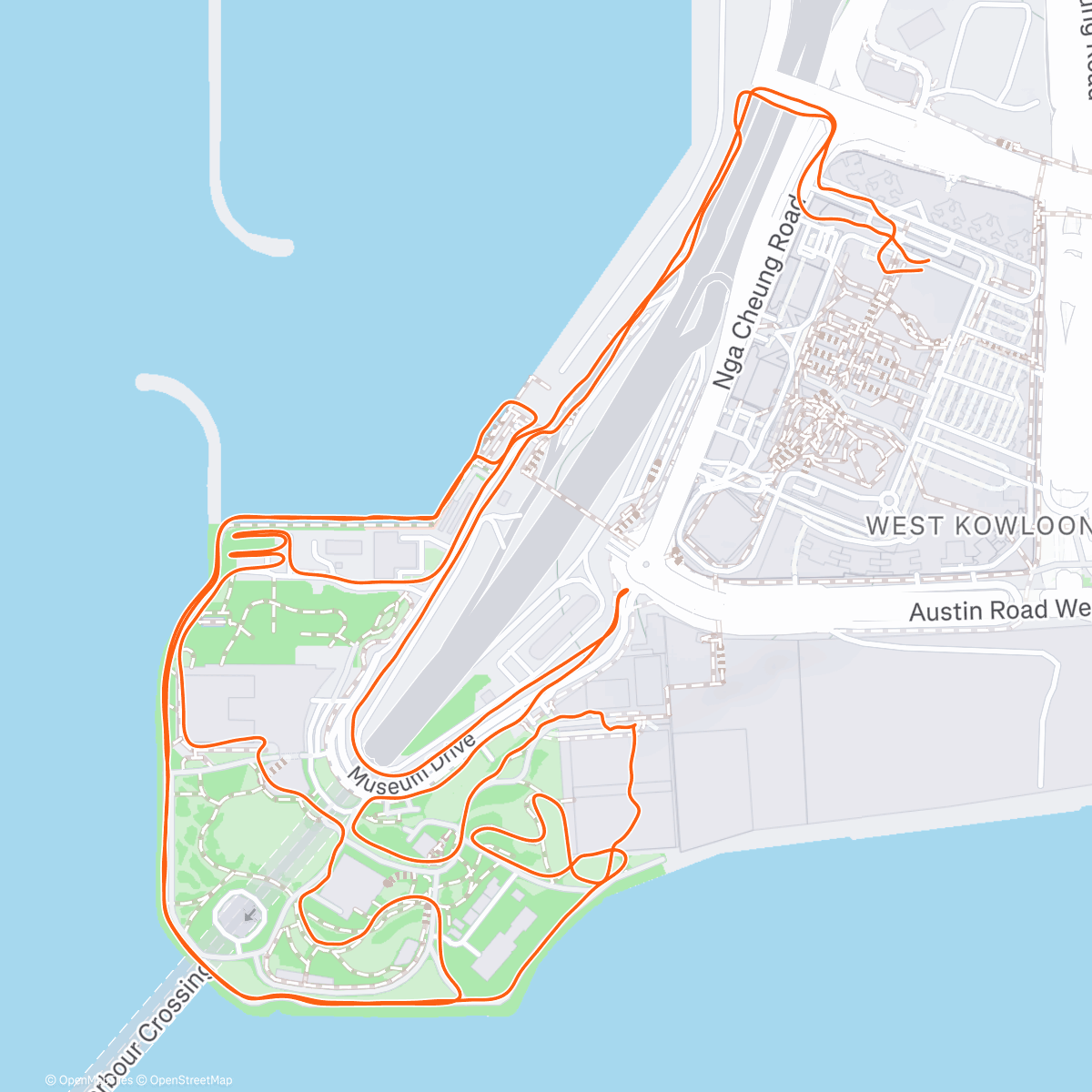 Карта физической активности (Morning Run)