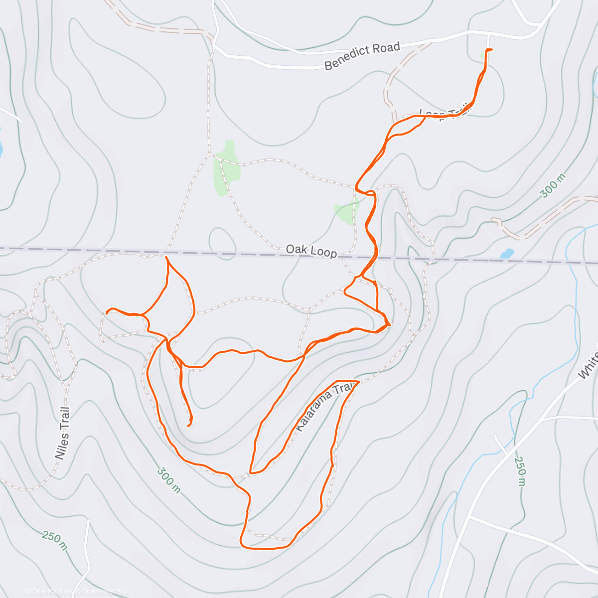 Карта физической активности (Mountain Meadows w/Sabrina)