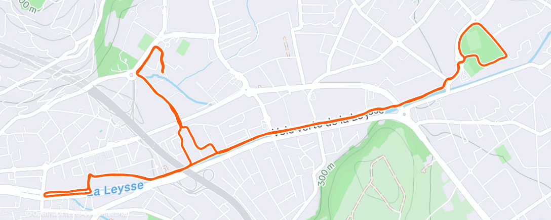 Карта физической активности (Footing 🐖)