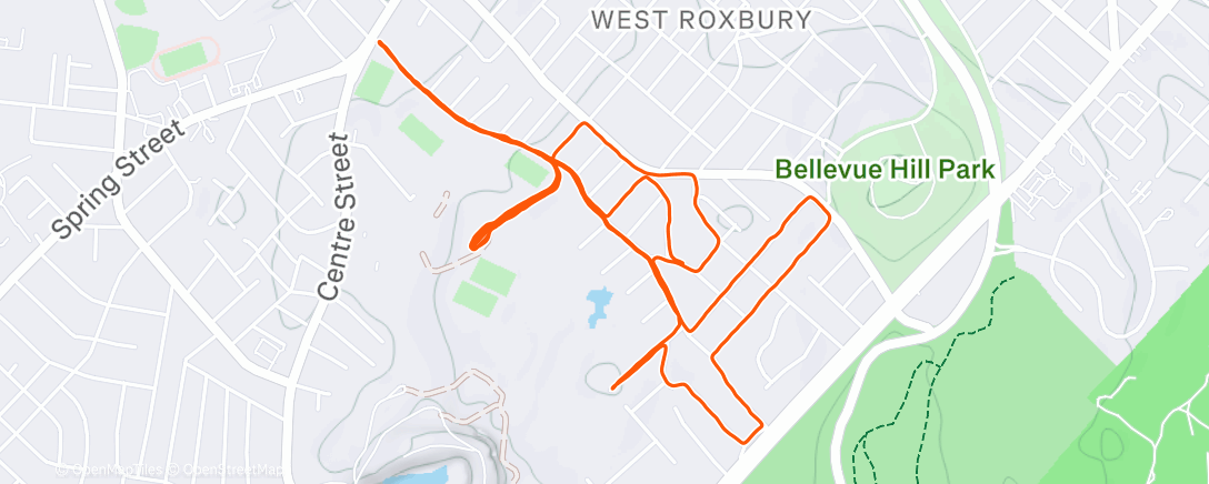 Map of the activity, Morning Run