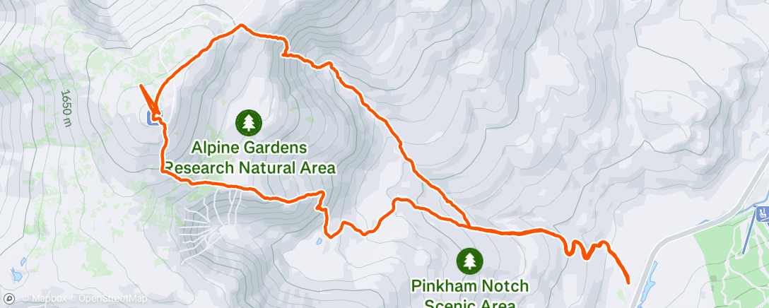 Map of the activity, Morning Trail Run