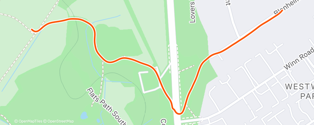 Map of the activity, Parkrun Cooldown