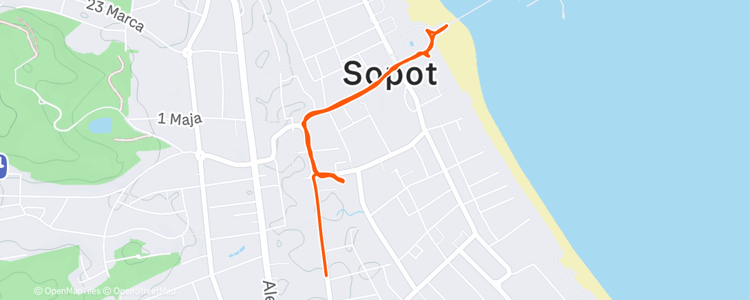 Карта физической активности (spacerek)