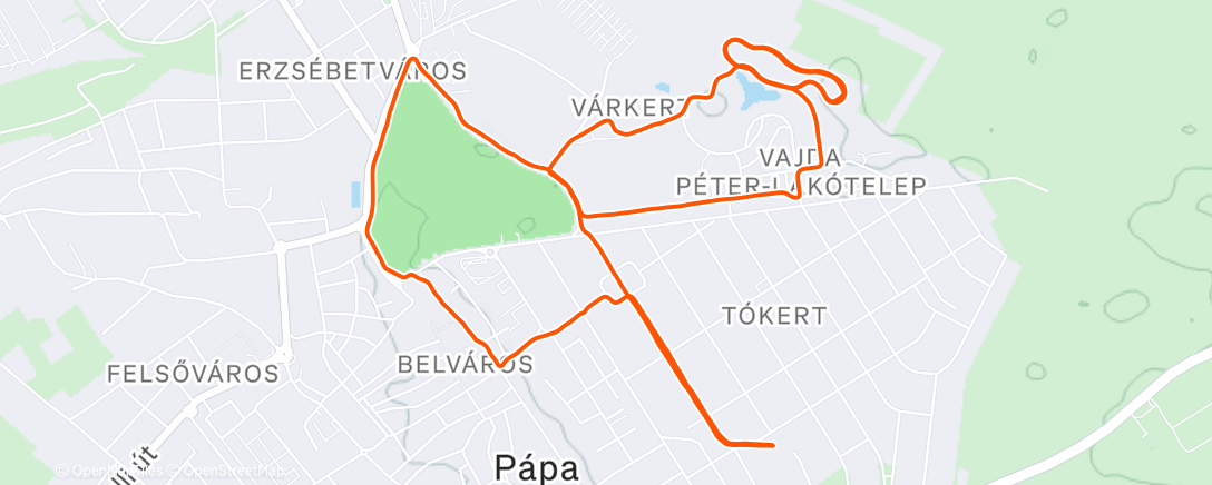Map of the activity, Evening Run