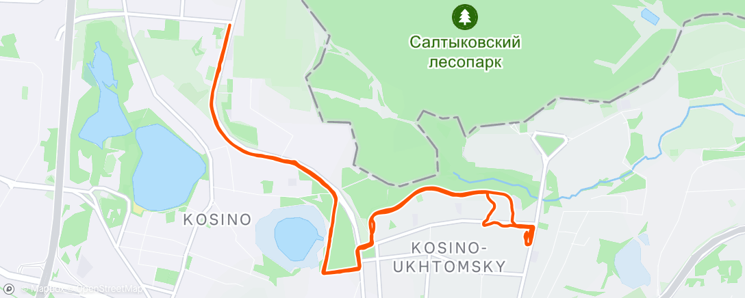 Map of the activity, Дневной забег