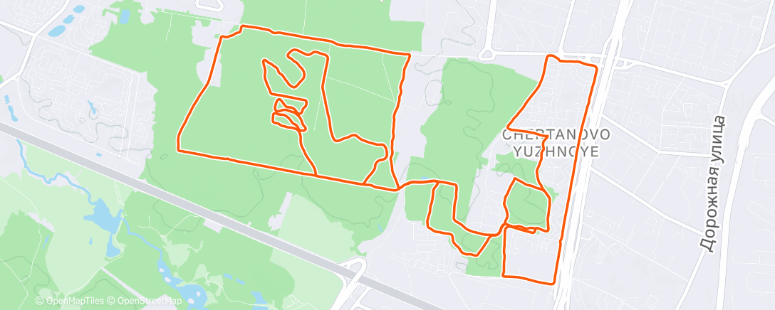 Карта физической активности (Дневной забег)