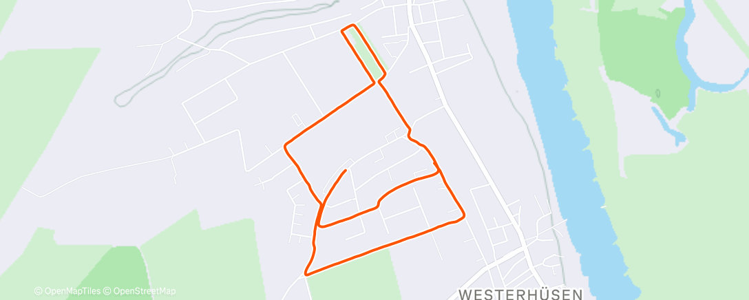 Map of the activity, Morning Run
