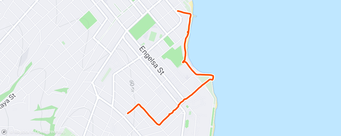 Map of the activity, Morning Run