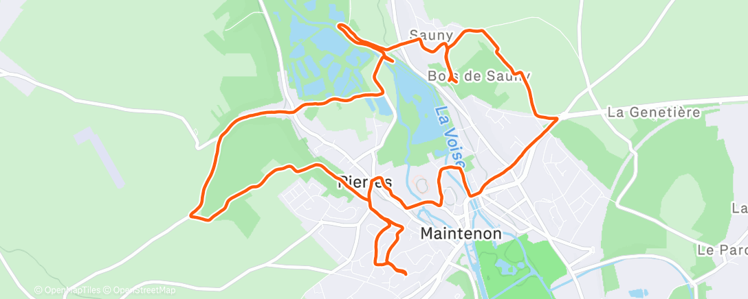 Карта физической активности (Morning Footing Trail Run)