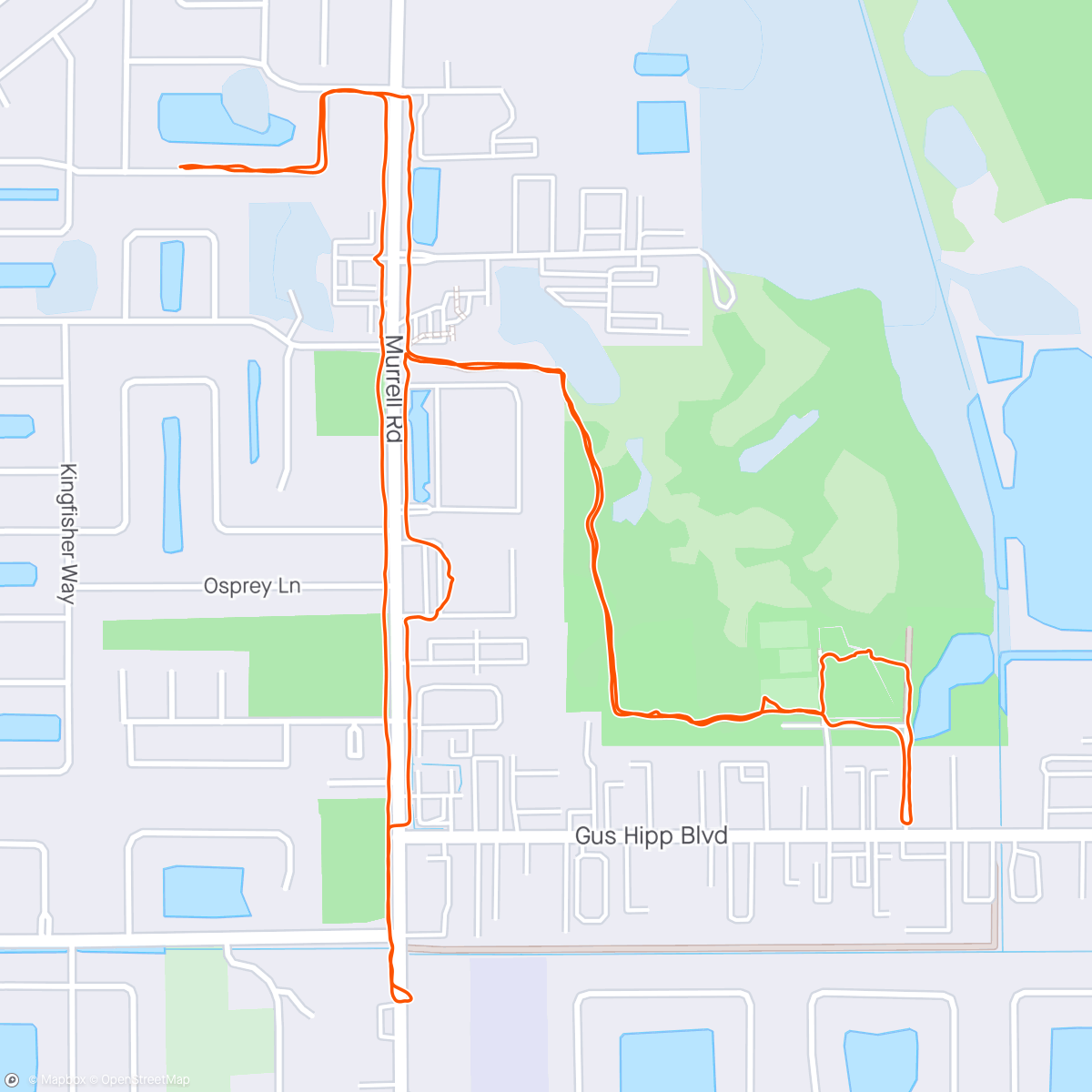 アクティビティ「Run / Walk」の地図