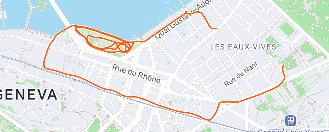 Map of the activity, Geneva - 21KM-S1-3-Seuil