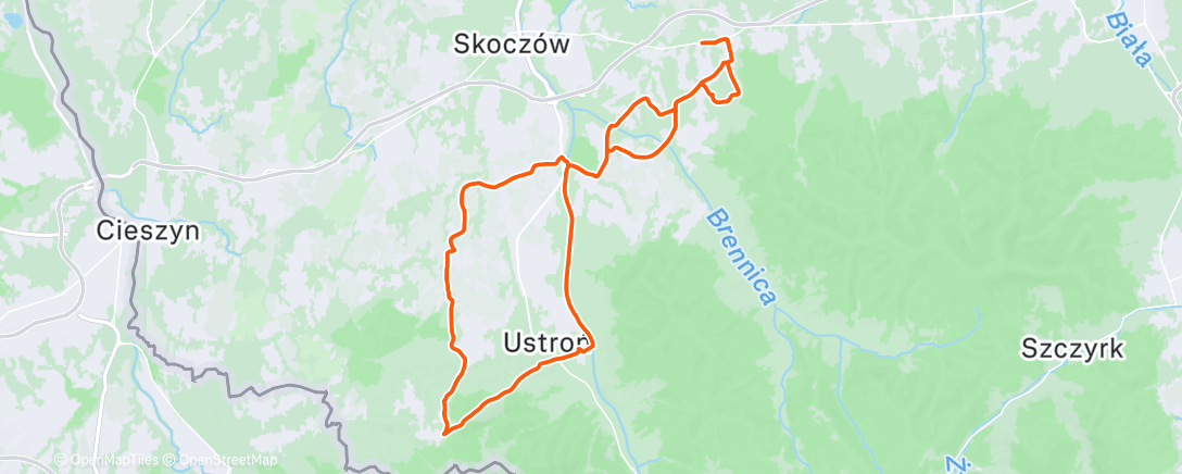 Map of the activity, WD 40