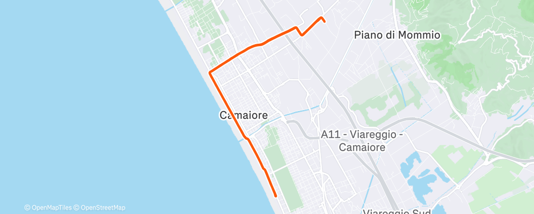 Карта физической активности (Lunch Run)