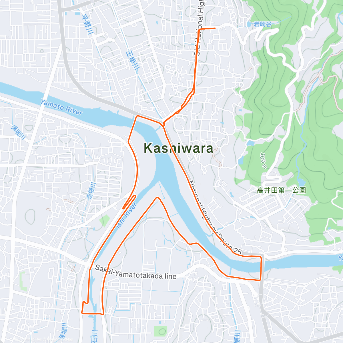 Карта физической активности (Last run of 2025)