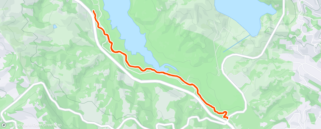 Map of the activity, Trail therapy