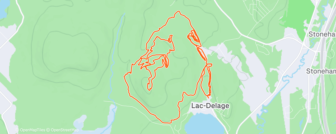 Карта физической активности (E47 Féerique!🤩)