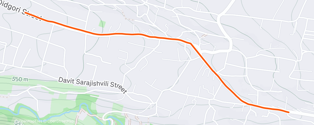 Map of the activity, Afternoon Run