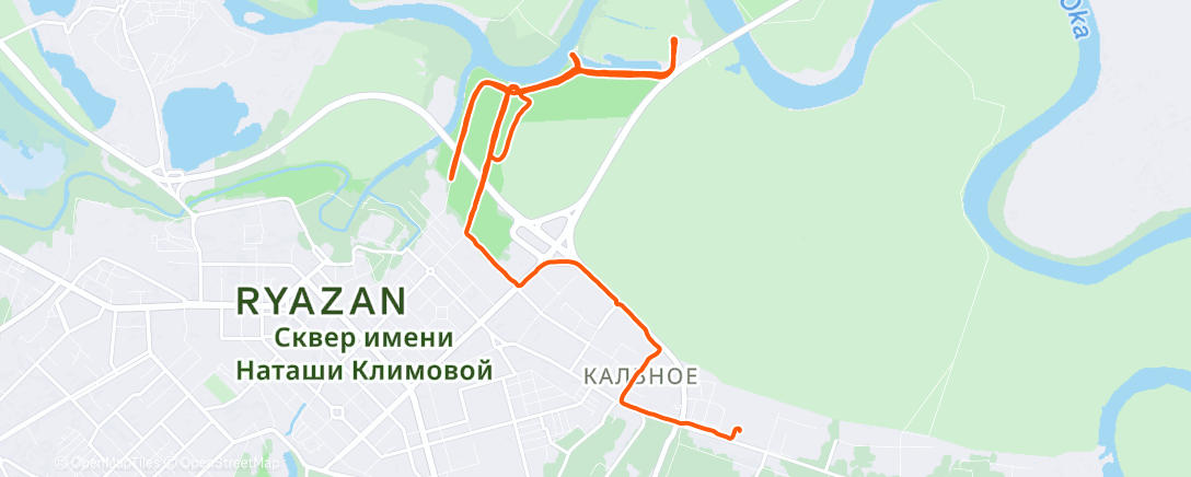 Карта физической активности (Утренний забег)