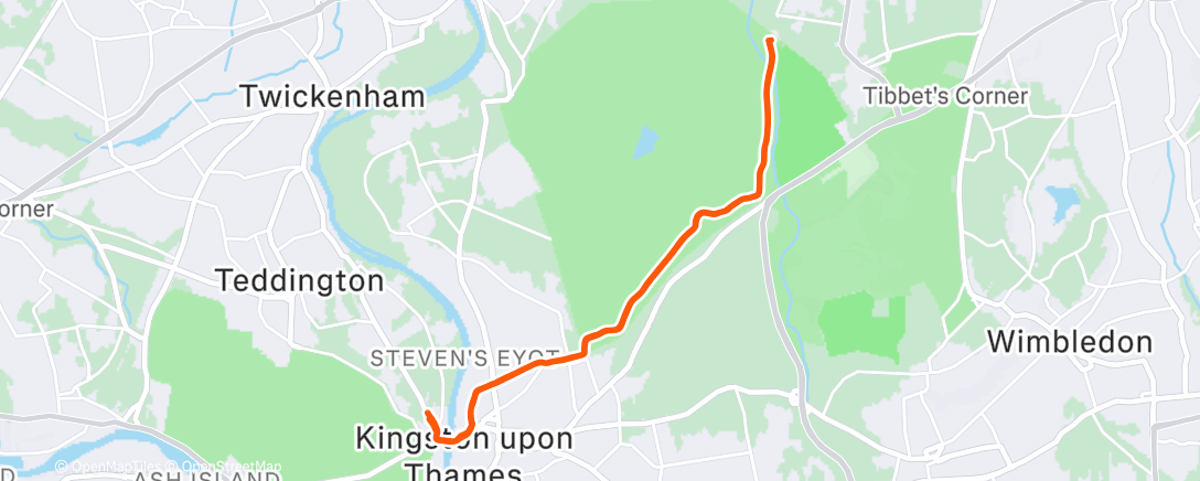 Карта физической активности (I am a Christmas pudding 🐖)