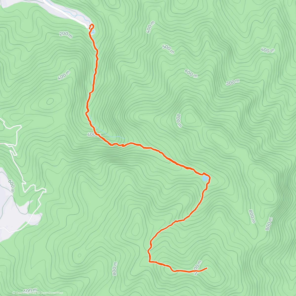 Карта физической активности (Morning Trail Run)