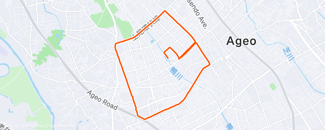 Map of the activity, Morning Run