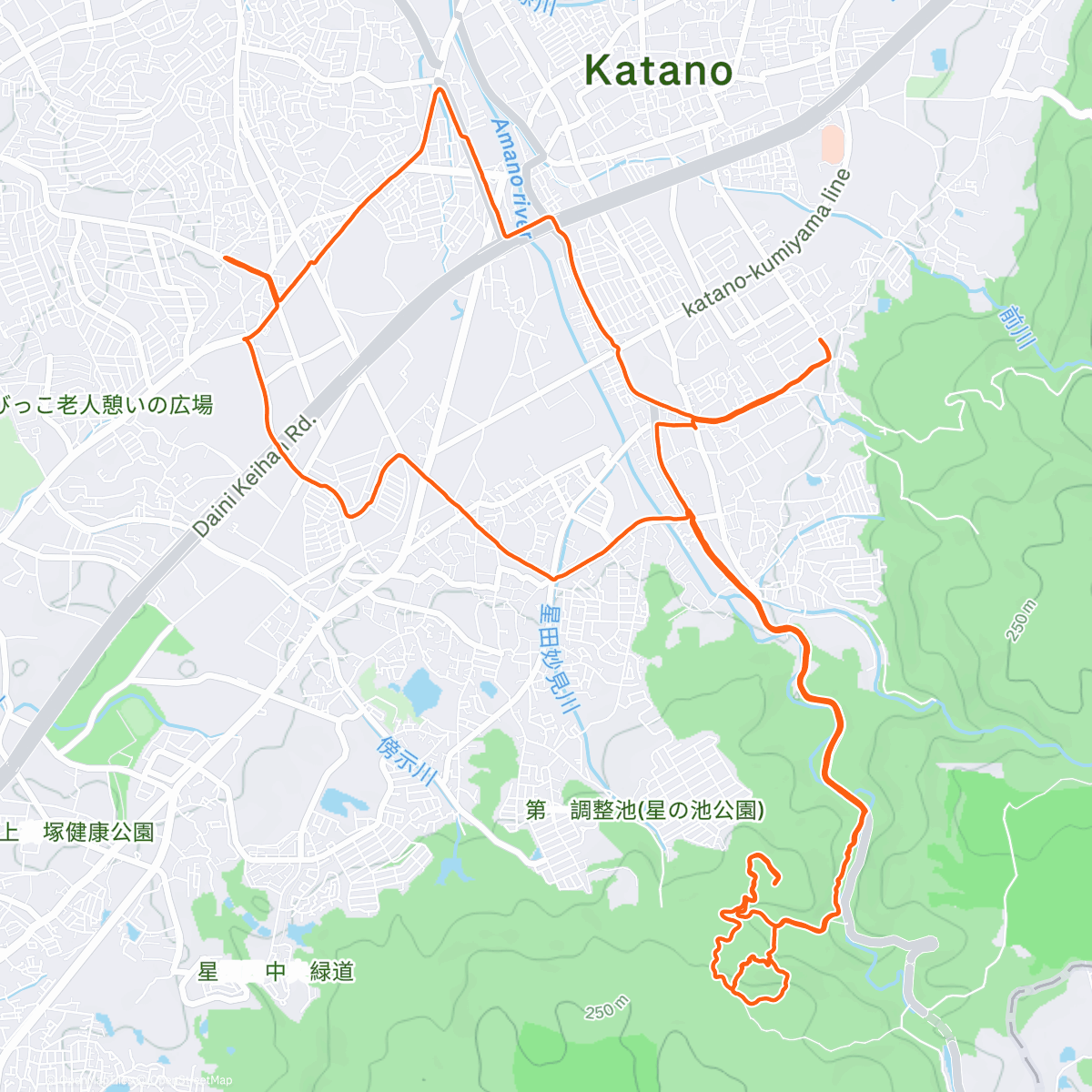 Map of the activity, Morning run