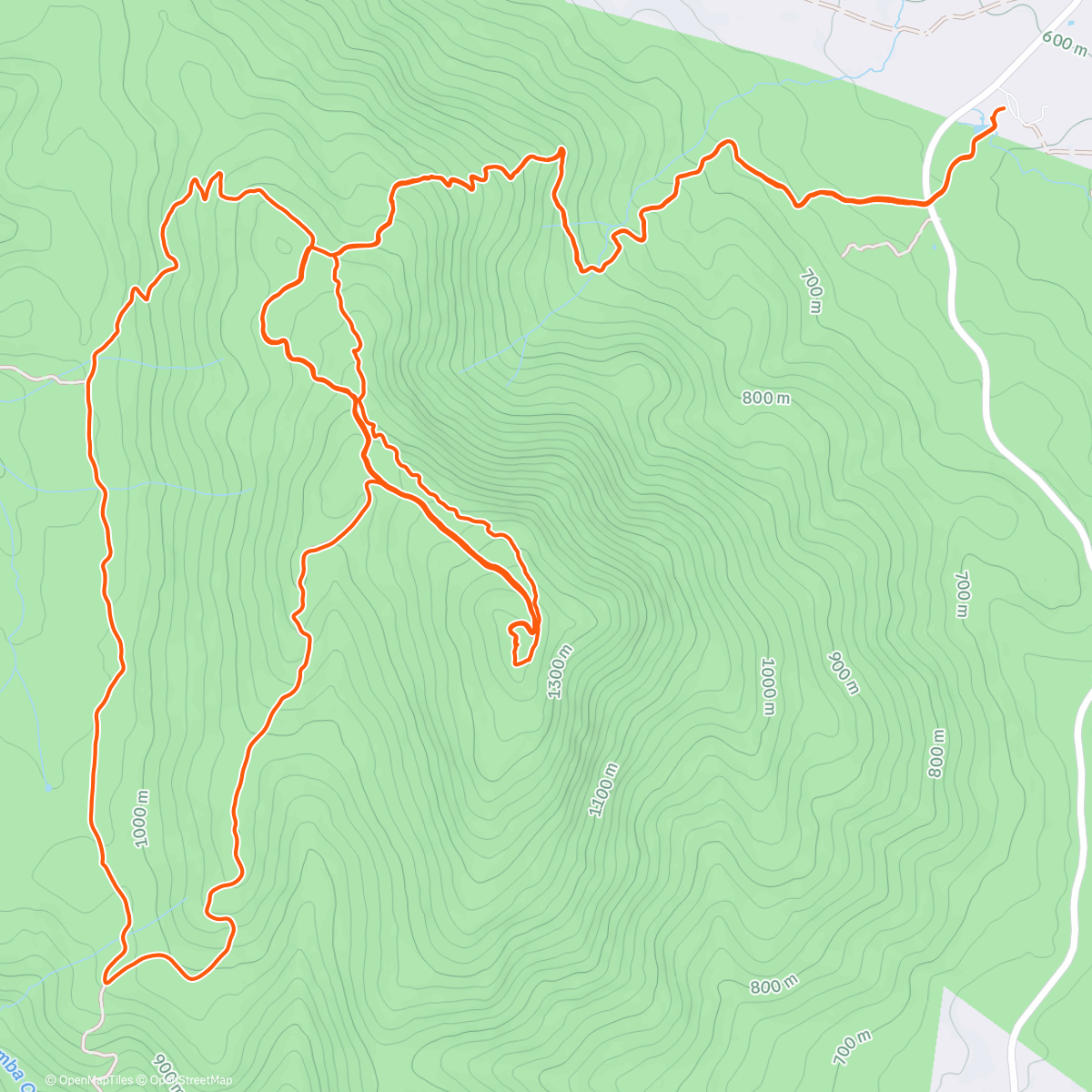 Карта физической активности (Lunch Trail Run)