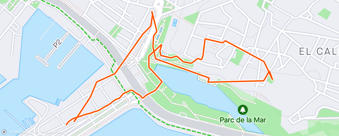 Map of the activity, Palma