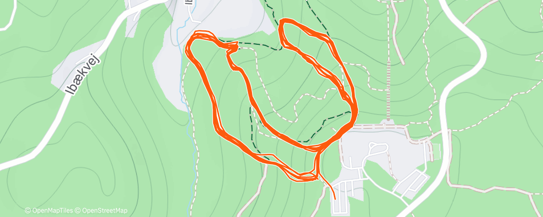 Карта физической активности (Hill loops 🌋)