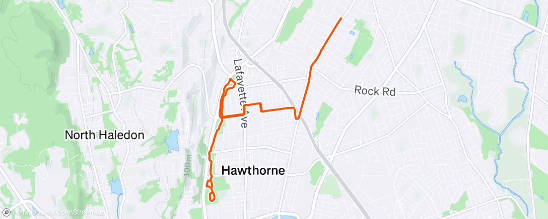 Map of the activity, Morning Run