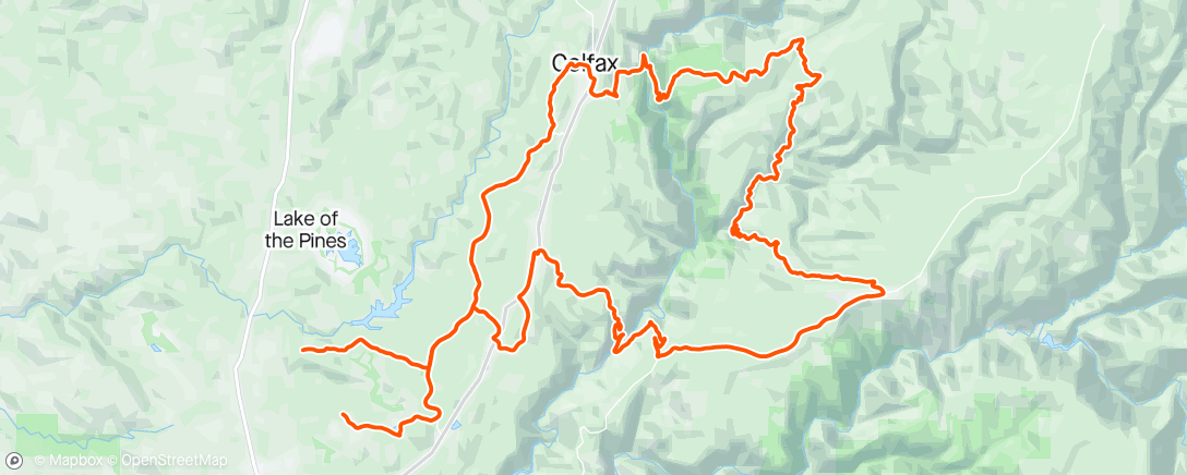 Map of the activity, Nearly squashed a huge black bear