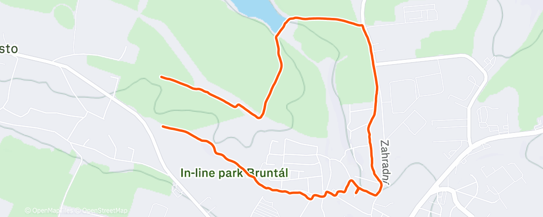 Карта физической активности (Afternoon Walk)