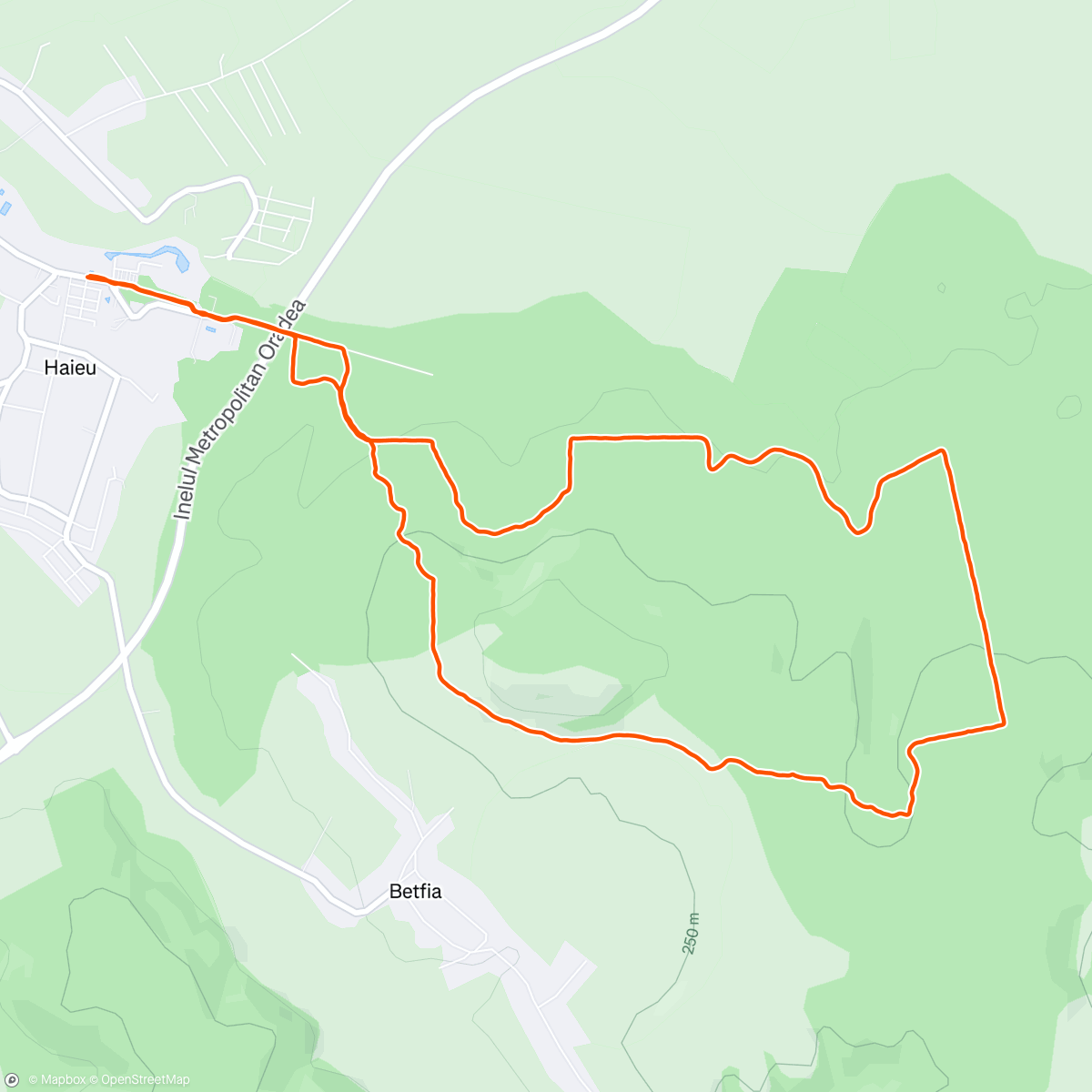 Mappa dell'attività CT298