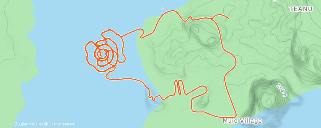 Карта физической активности (Zwift - Volcano Climb in Watopia)