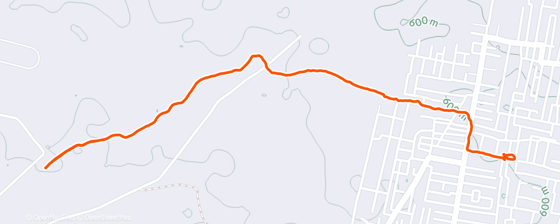 Карта физической активности (Evening Walk)