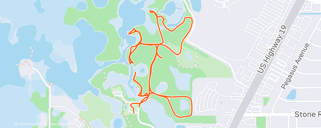 Map of the activity, Morning Walk