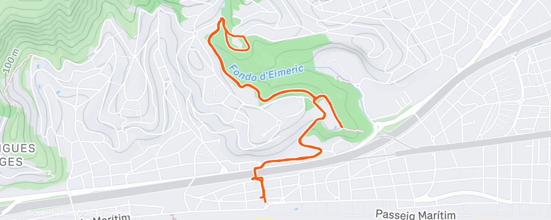 Карта физической активности (Afternoon Run)