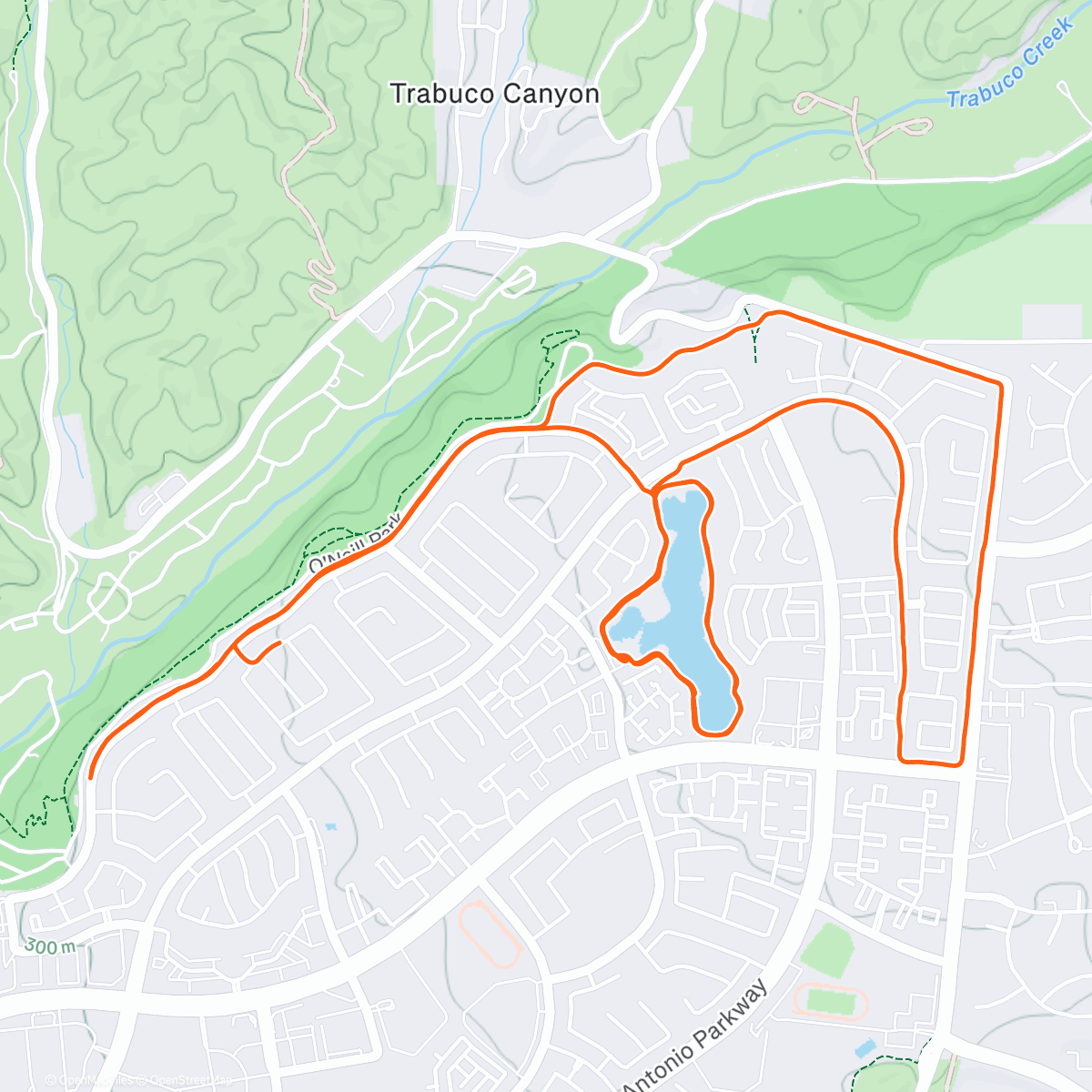 Map of the activity, A sunny Christmas!!