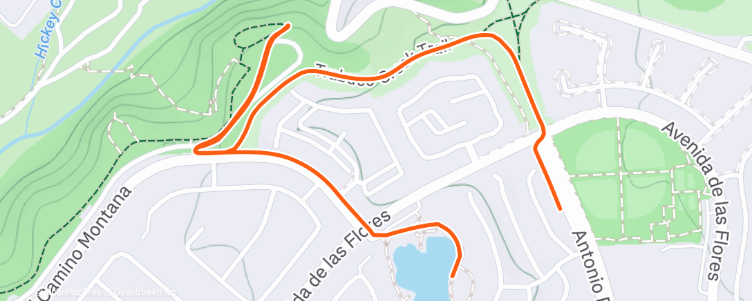 Карта физической активности (Morning Walk)