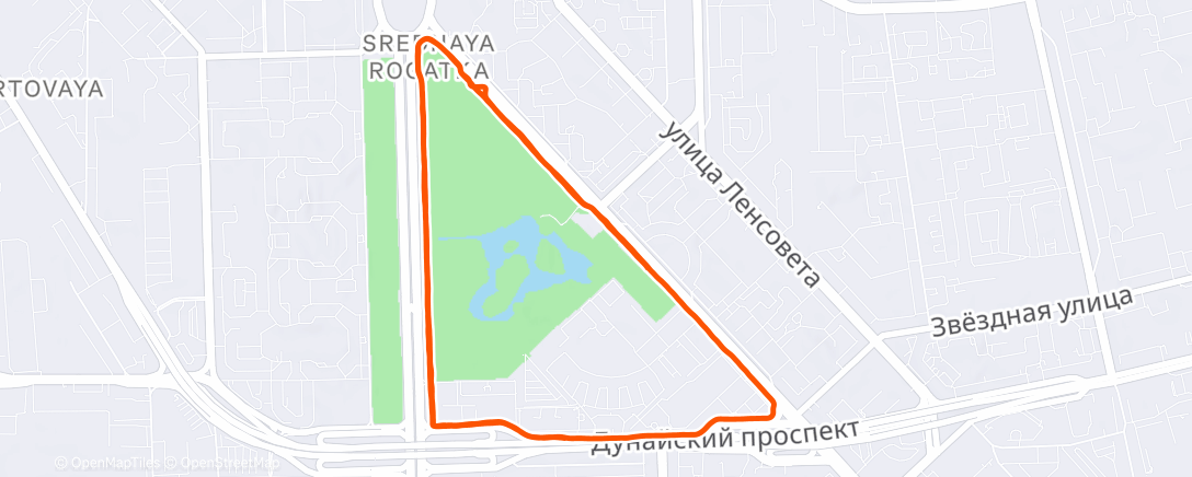 Карта физической активности (Дневной забег)