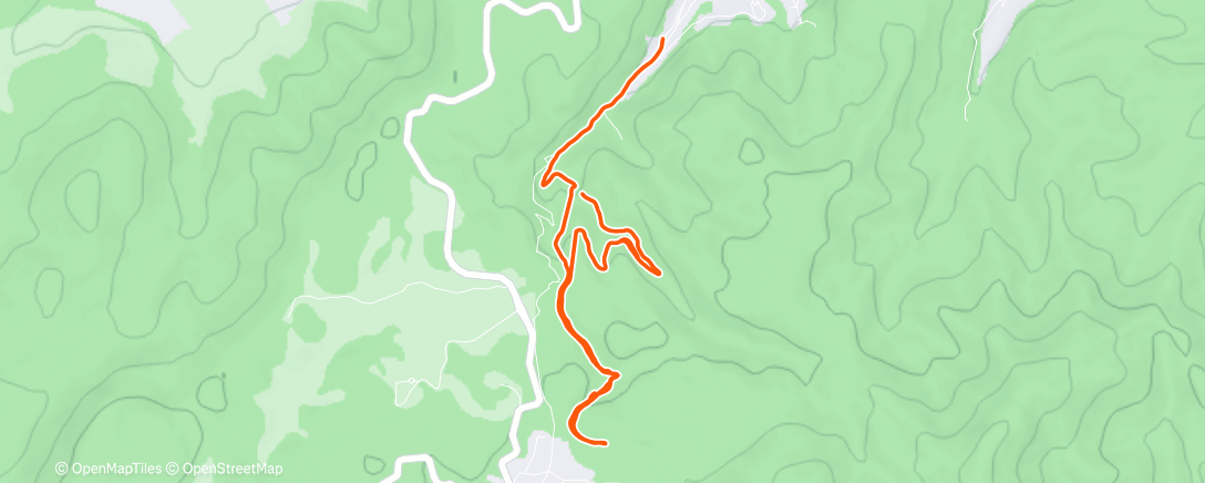 Map of the activity, Morning Run