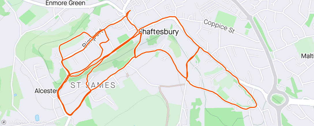 Map of the activity, Evening Run.  With the trotters Shaftesbury hill