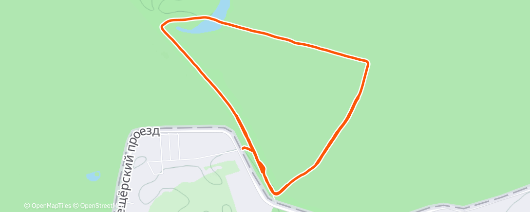 Карта физической активности (Утренний забег)