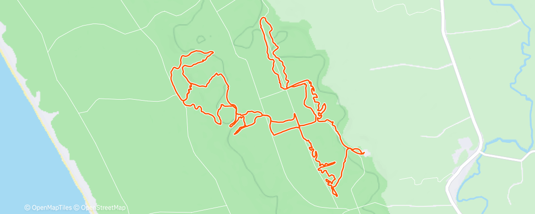 Map of the activity, Woody