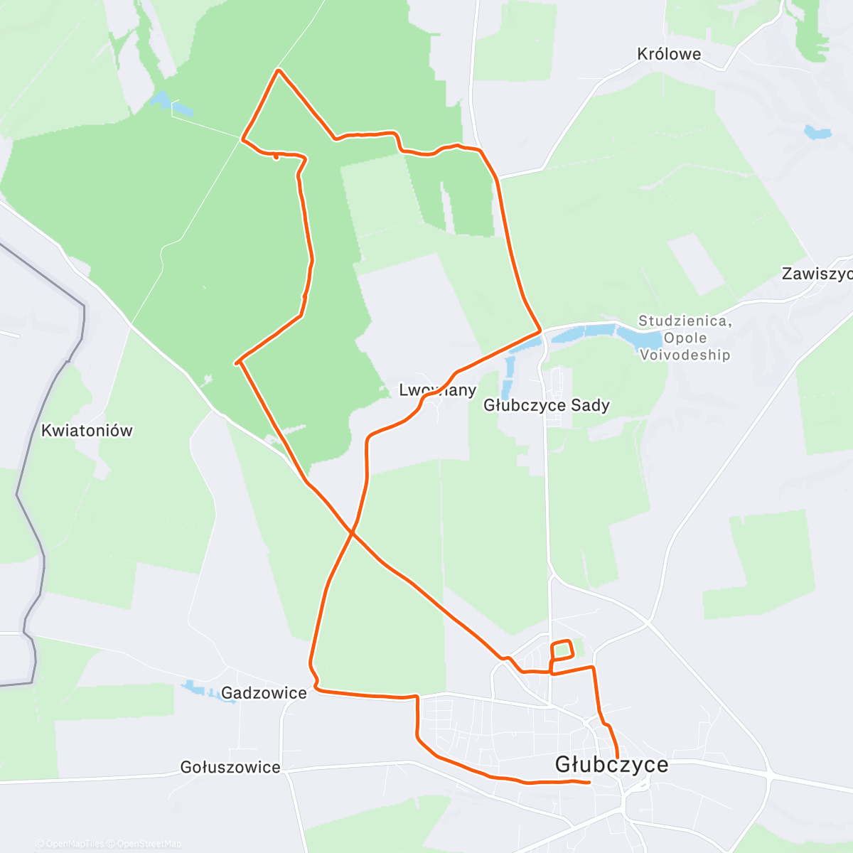 Map of the activity, 105/2025
🌲Wesołych Świąt🌲
