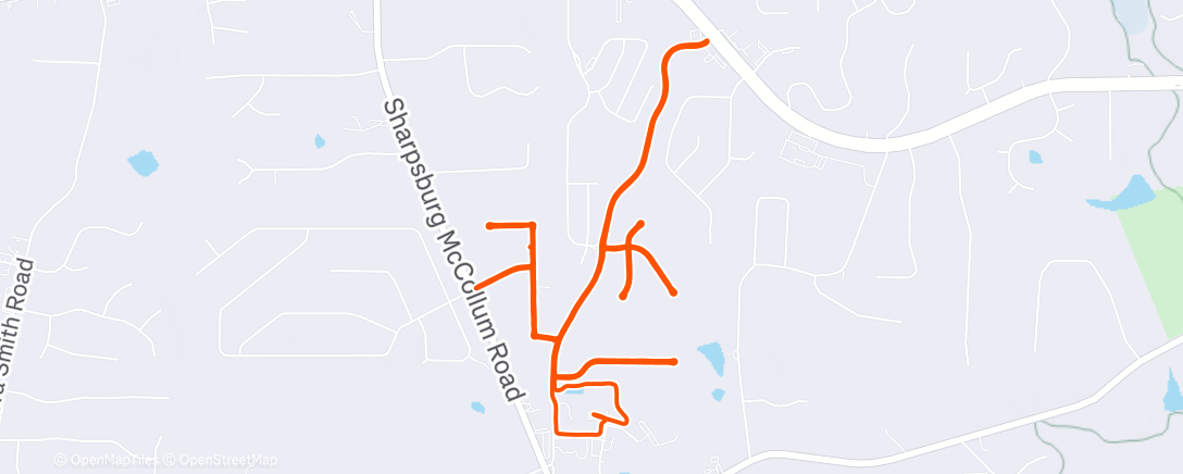 Map of the activity, Roads