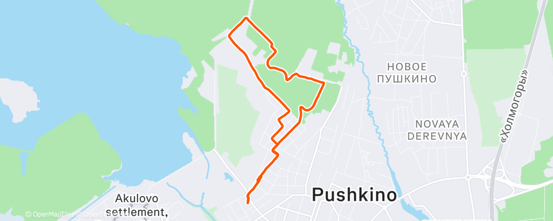 Карта физической активности (Утренний забег)