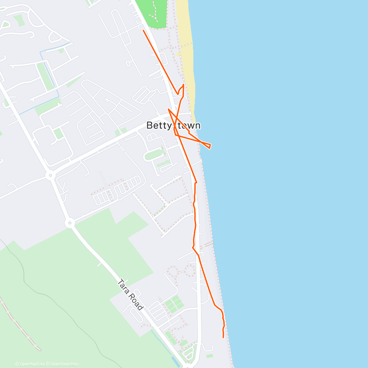 Map of the activity, Afternoon Run