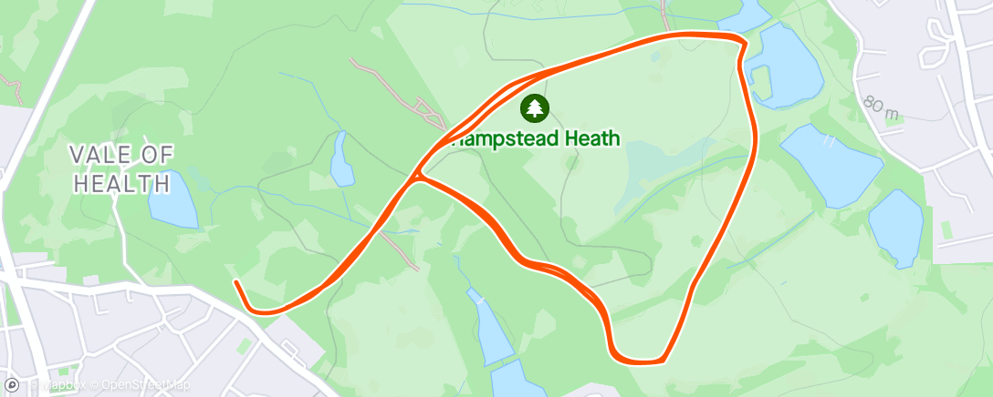 アクティビティ「Hampstead Heath parkrun #157」の地図